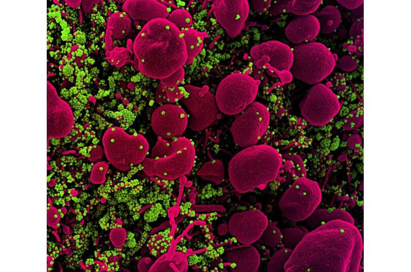 New virtual screening strategy identifies existing drug that inhibits Covid-19 virus