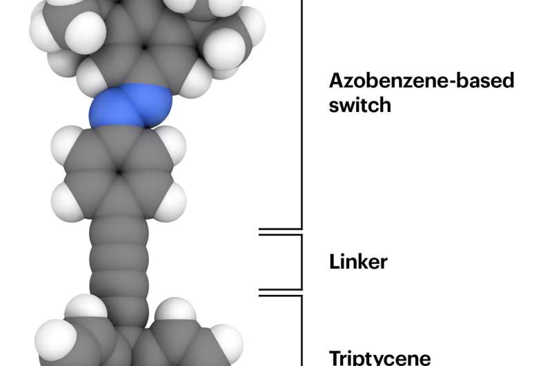 NMR confirms molecular switches retain function in 2D-array