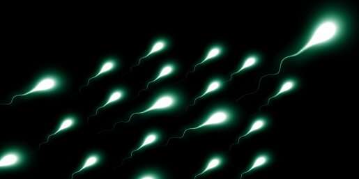 No NELL2, no sperm motility--novel protein is essential for male fertility