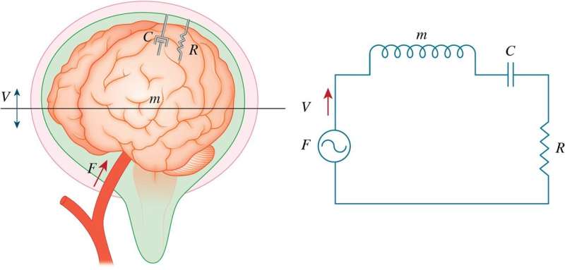 Non-invasive method to predict brain pressure
