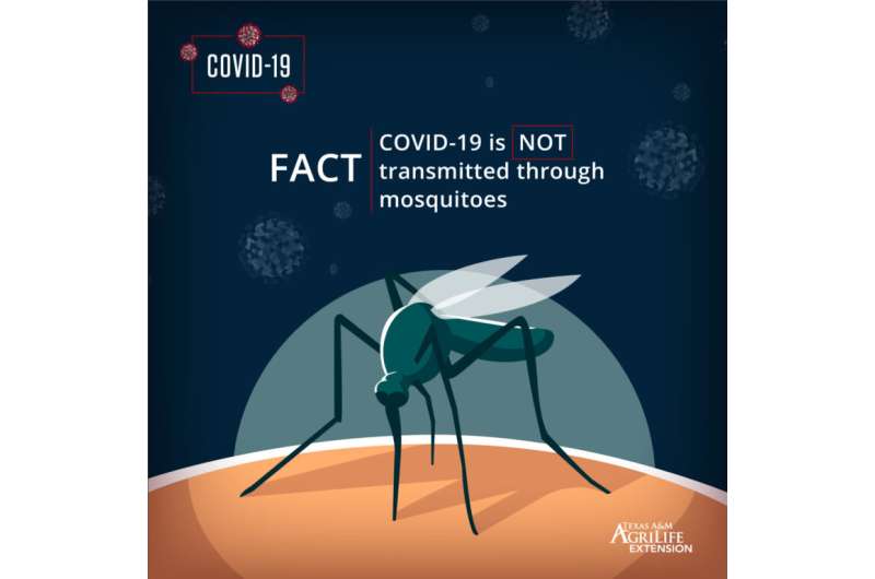 No scientific evidence that COVID-19 is transmitted by mosquitoes and ticks