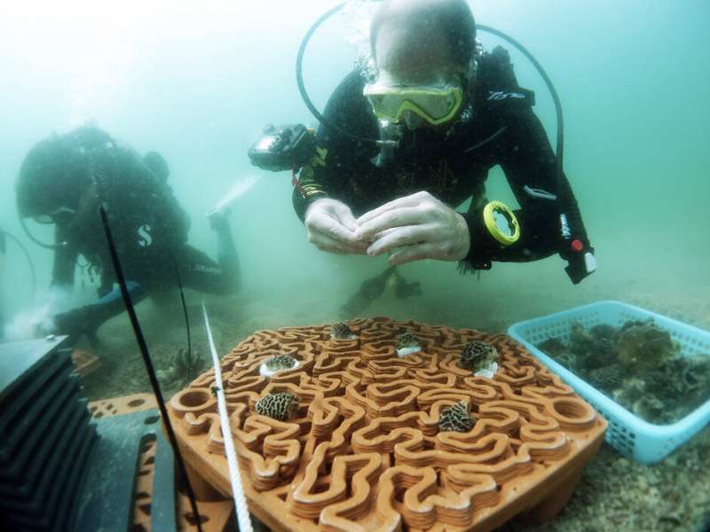 Novel 3-D printed ‘reef tiles’ to repopulate coral communities