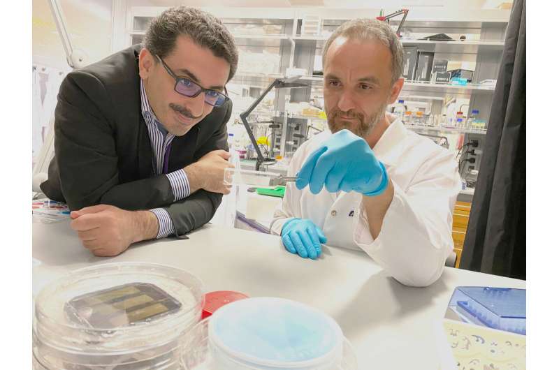 NYU Abu Dhabi researchers develop new tool for performing cancer liquid biopsies