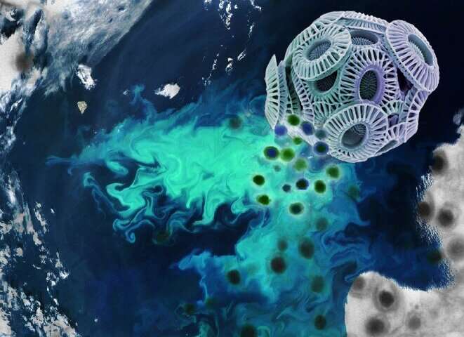 Ocean algae get 'coup de grace' from viruses
