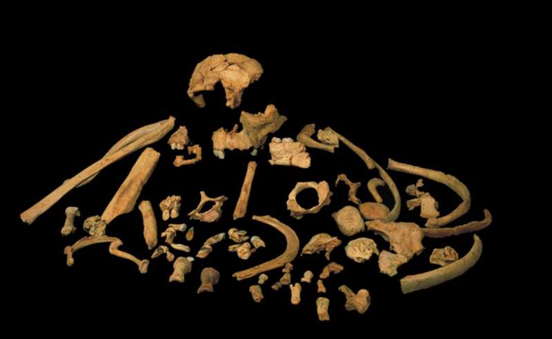Oldest ever human genetic evidence clarifies dispute over our ancestors