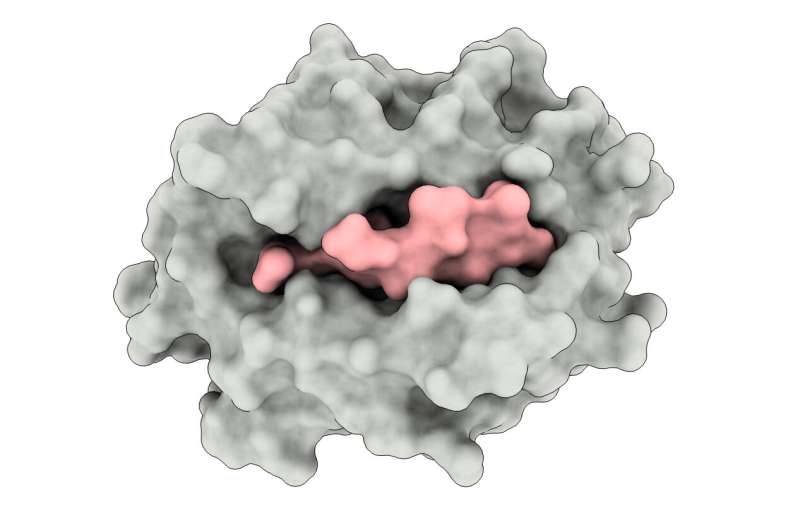 Once-discounted binding mechanism may be key to targeting viruses