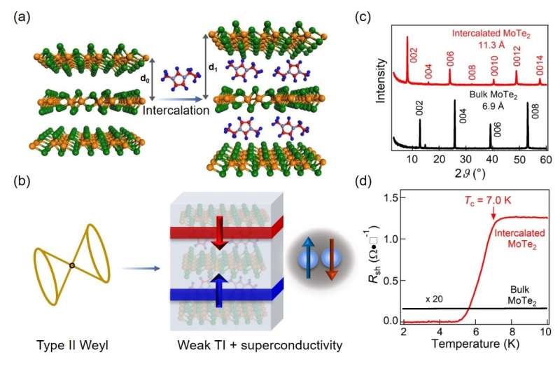 Organic-cation intercalation: An effective strategy for manipulating band topology and superconductivity