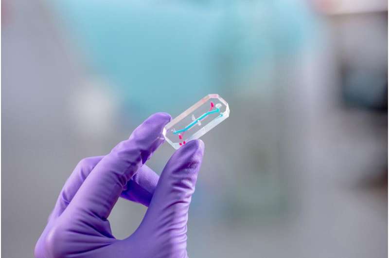 Organs-on-Chips Centre opens in UK for advancements in medical research and drug development