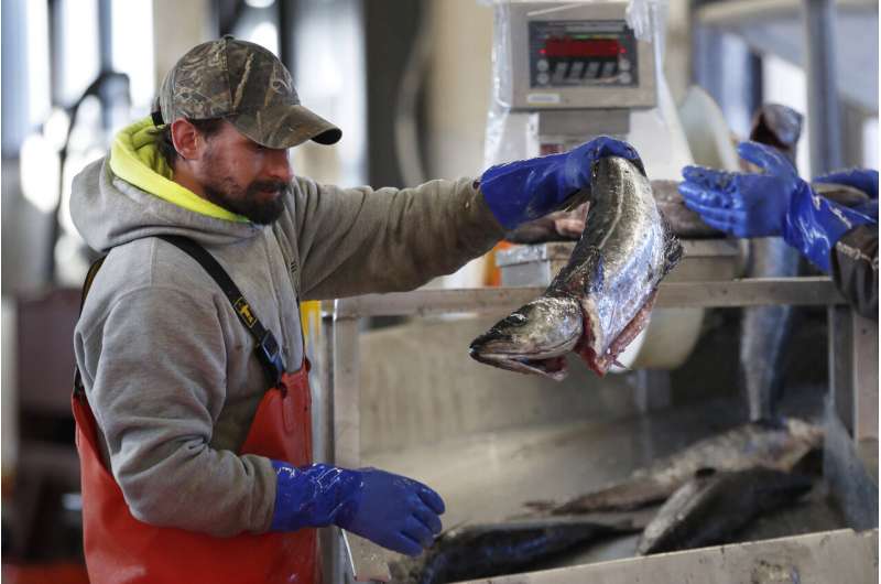 Pandemic has taken a bite out of seafood trade, consumption