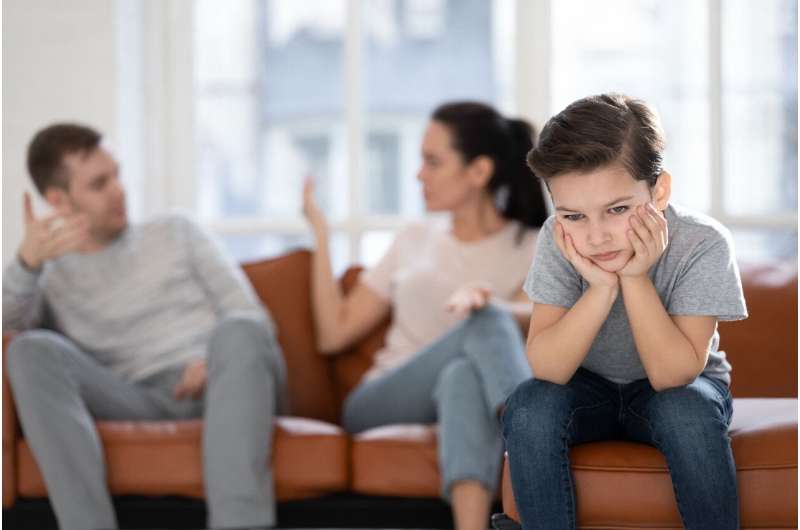 贝克研究所的专家说，父母的流行病引起的压力会对孩子造成长期的伤害