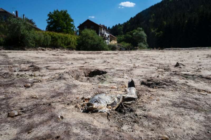 Parts of the Doubs river in eastern France have run dry