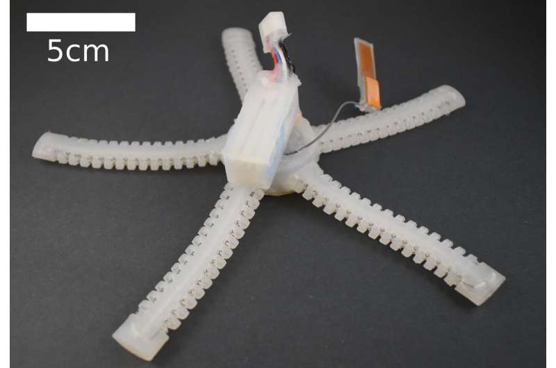 PATRICK: A brittle star-inspired robot that can crawl underwater