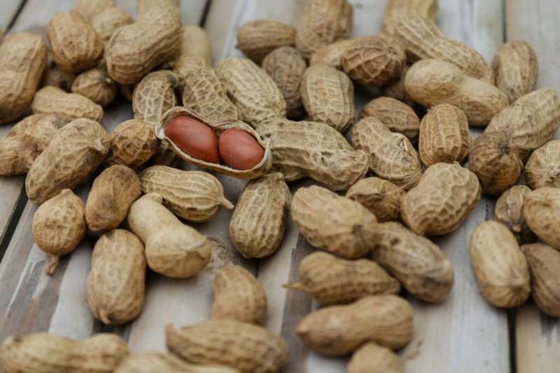 Peanut allergy: a pain in the guts