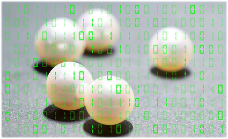 Pearls may provide new information processing options for biomedical, military innovations