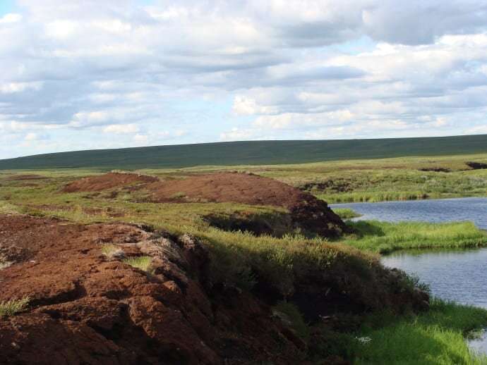 Peatland carbon and nitrogen stocks vulnerable to permafrost thaw
