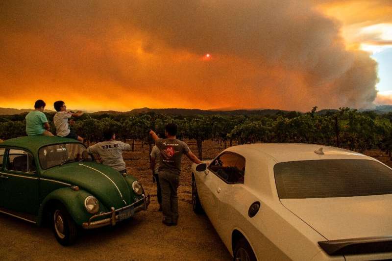 People watch the Walbridge fire, part of the larger LNU Lightning Complex fire, from a vineyard in Healdsburg, California on Aug