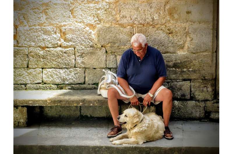 Pets may protect against suicide in older people