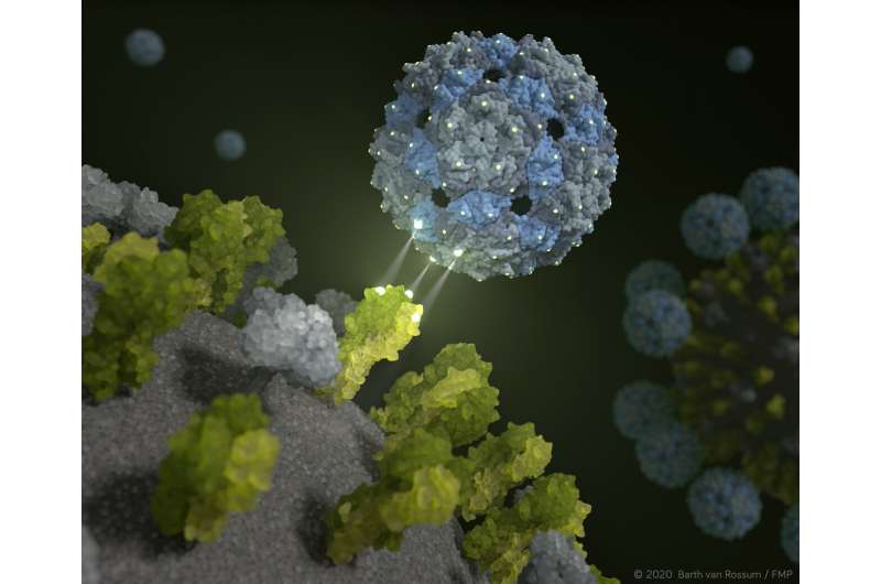 Phage capsid against influenza: Perfectly fitting inhibitor prevents viral infection