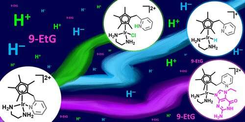pH-sensitive iridium complexes as catalytic anticancer compounds