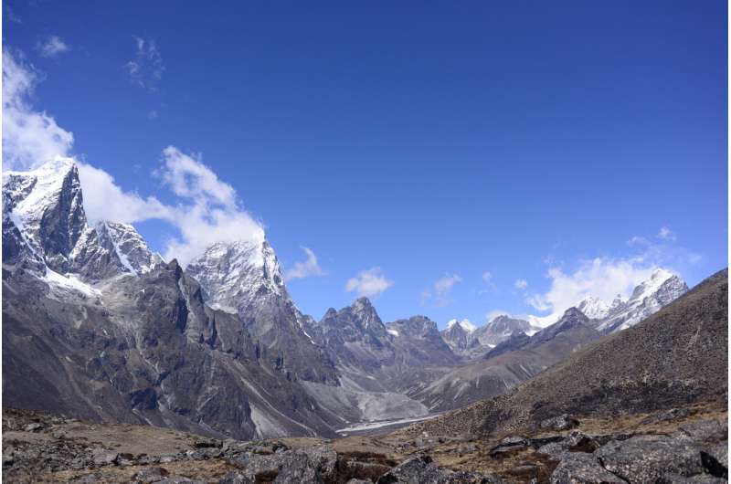 Plant life expanding in the Everest region