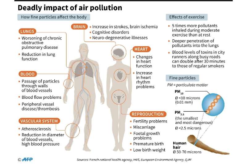 PM2.5 pollution is small enough to enter the bloodstream via the respiratory system, leading to asthma, lung cancer and heart di