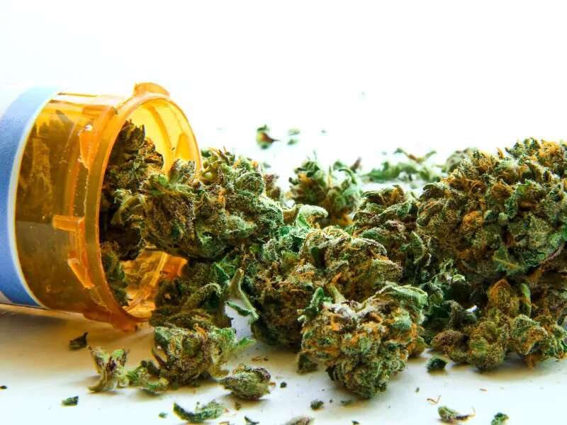 Policy guides medical marijuana use at pediatric hospital