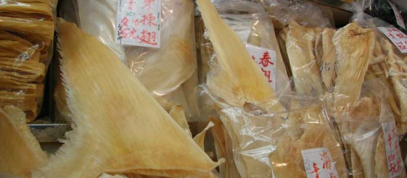 Preferably with the headline: Mercury levels in shark fins illegal and dangerous to human health