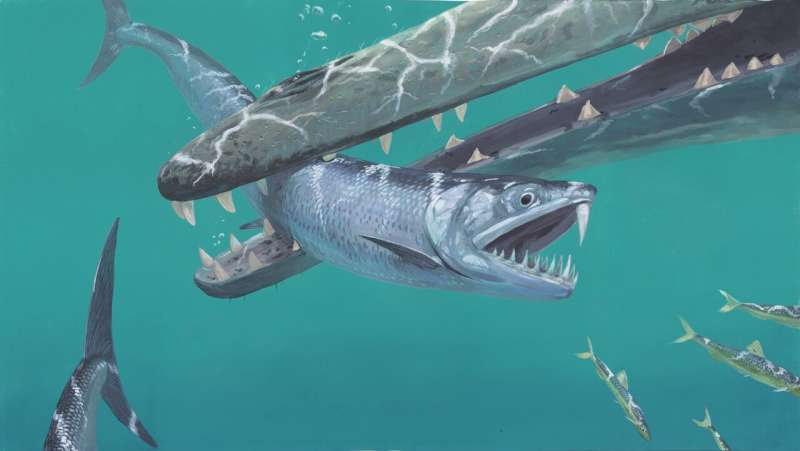 Prehistoric anchovy-like fish had large fangs and a saber tooth