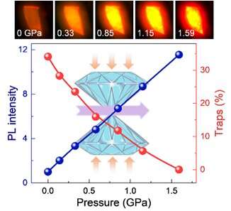 Pressure suppresses carrier trapping in 2-D halide perovskite