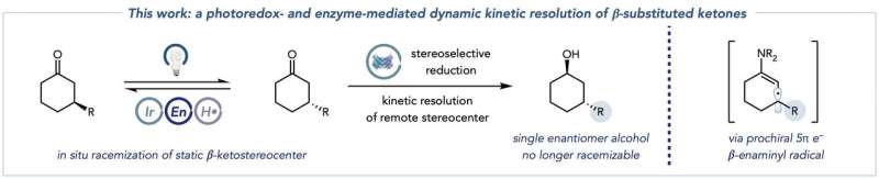 Princeton labs report new platform for stereocontrol