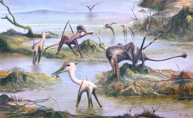Pterosaurs undergo dental examination to reveal clues about diets and lifestyles