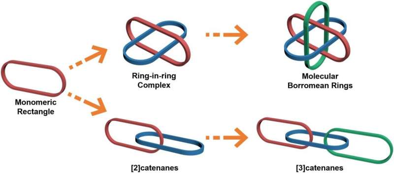 &quot;All-in-one&quot; strategy for metalla[3]catenanes, borromean rings and ring-in-ring complex