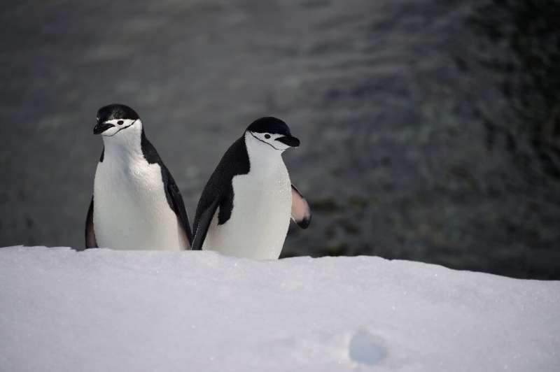 &quot;Antarctic biodiversity helps us understand what life may be like elsewhere in the Universe,&quot; said Monash University p