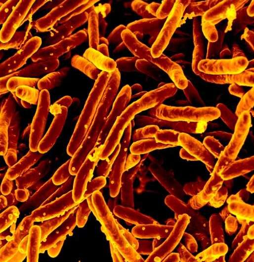 Recent advances in addressing tuberculosis give hope for future