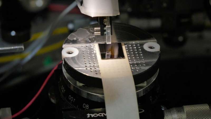 Record-high data transmission using a soliton crystal