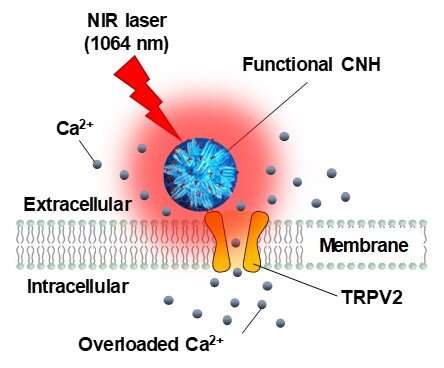 Regulation of cancer stemness by the best combination of nanotech and genetic engineering
