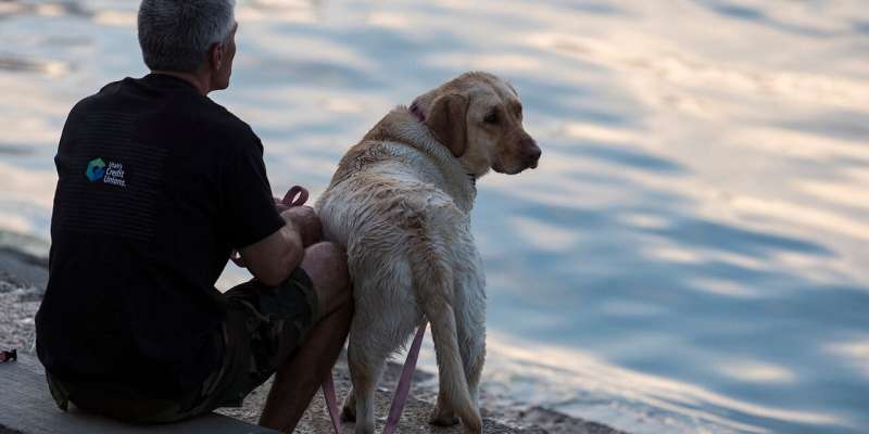 Researcher puts a number on man’s best friend.