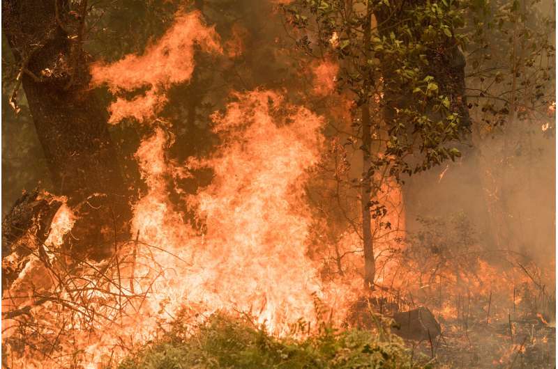 Research will help land managers take risk-analysis approach to new wildfire reality