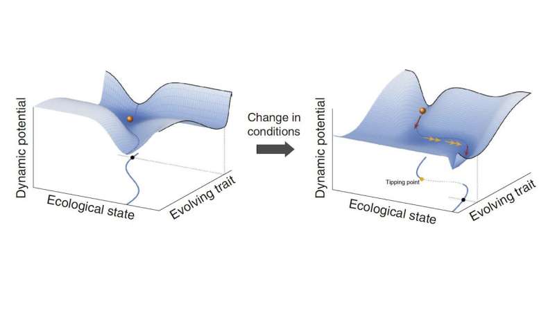 Re-thinking ‘tipping points’ in ecosystems and beyond