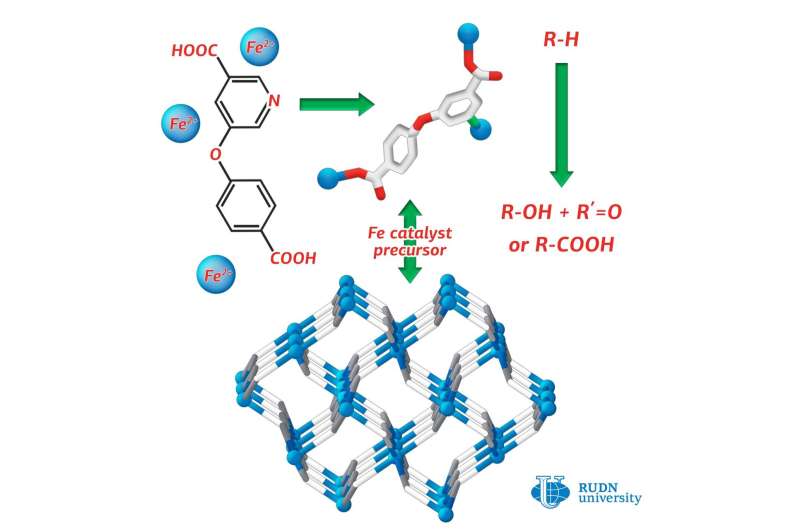 RUDN chemist synthesized iron coordination polymer with the nicotinic acid derivative
