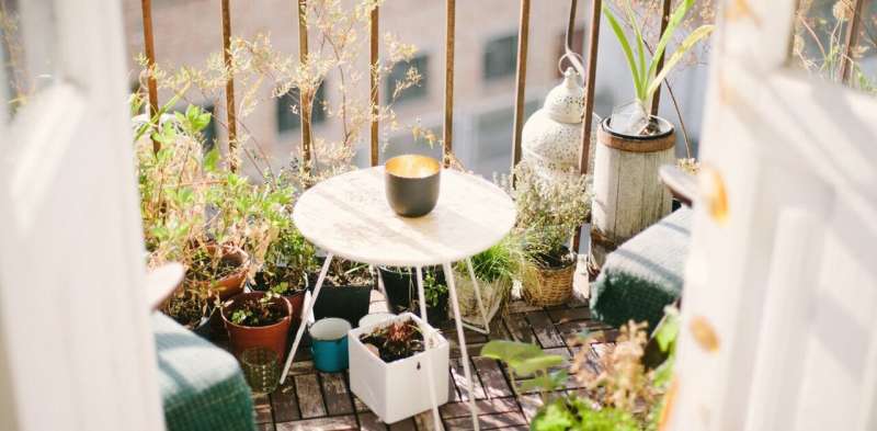 Running out of things to do in isolation? Get back in the garden with these ideas from 4 experts