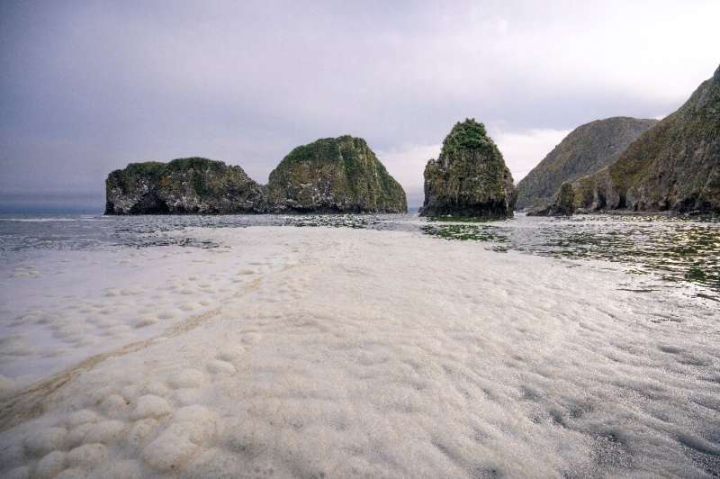 Russian researchers said the pollution slick was creating an unusual foam as it floated on the surface of the sea