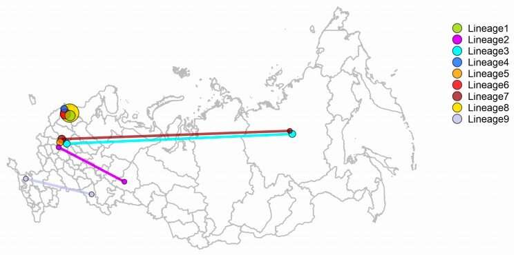 Russia’s COVID-19 strain did not come from China