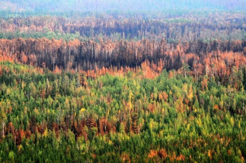Russia struggles with wildfires in its remote taiga every summer
