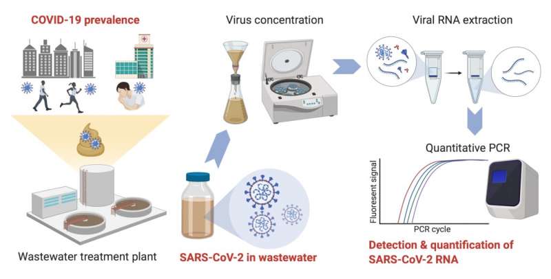 SARS-CoV-2 RNA detected in untreated wastewater from Louisiana