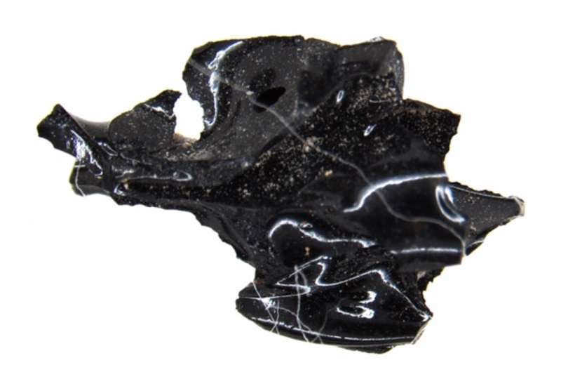 Scholars were intrigued by a curious glassy material found inside one victim's skull