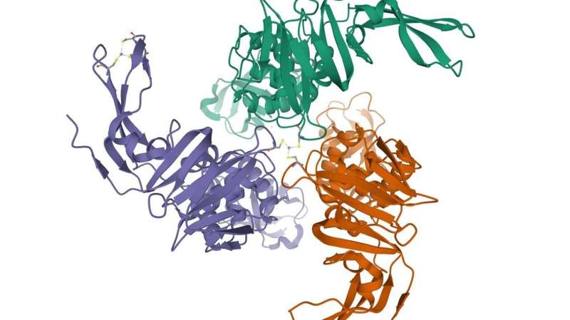 Scientists hunt for antibodies, key in fight against coronavirus