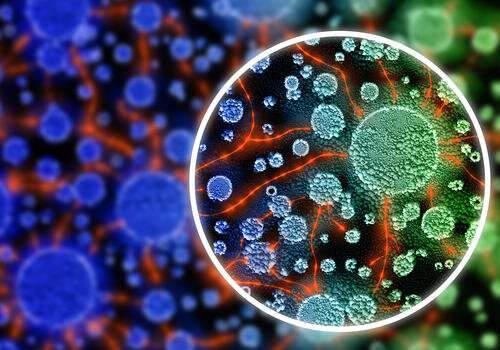 Scientists zero in on endgame for nasty bacteria