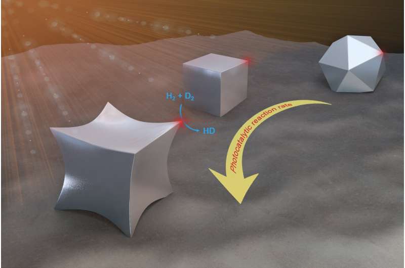 Shape matters for light-activated nanocatalysts