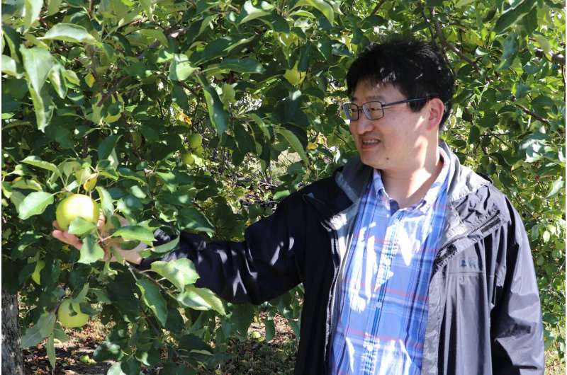 Silk road contains genomic resources for improving apples